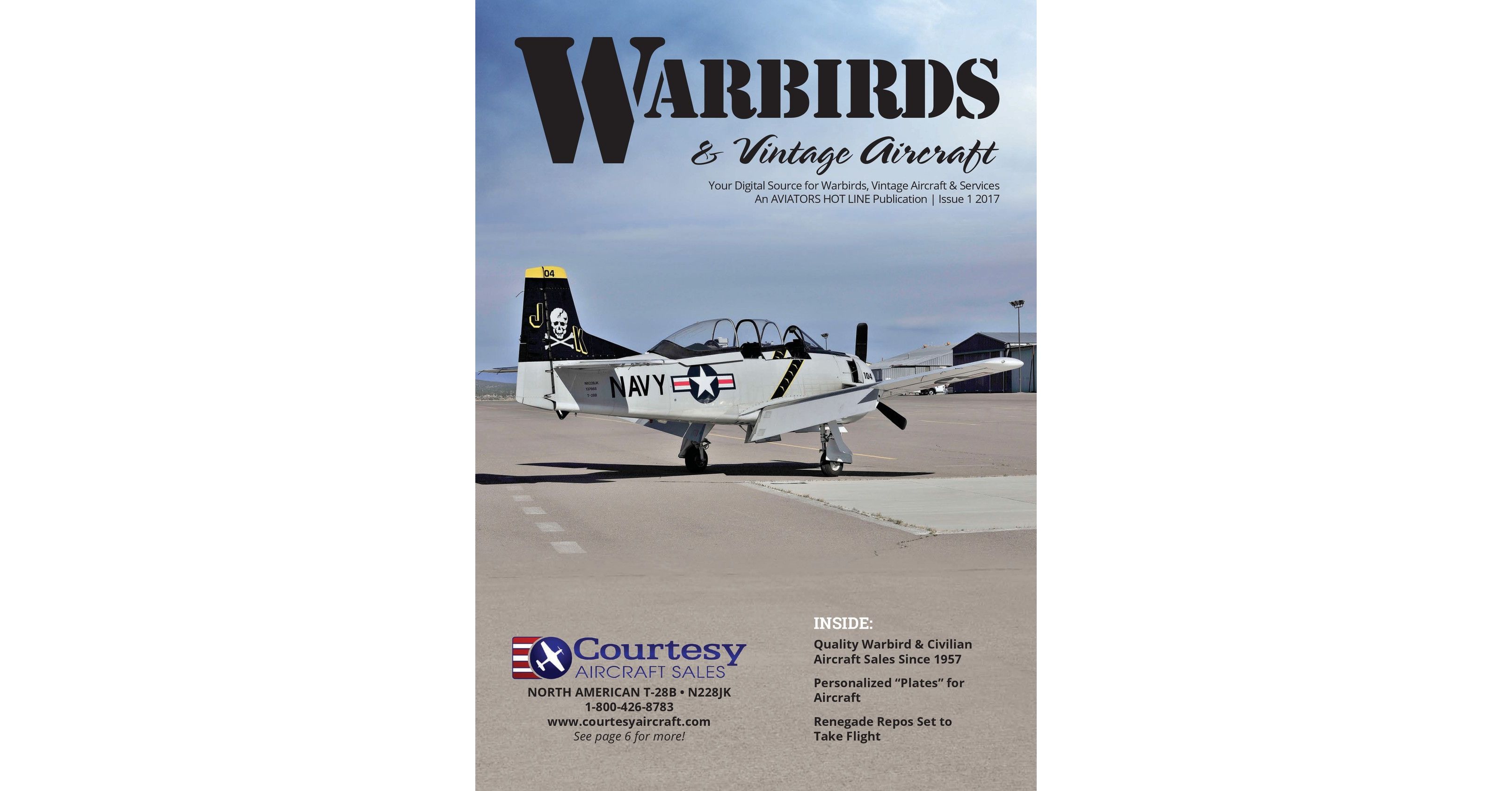 Warbirds Vintage Aircraft Issue