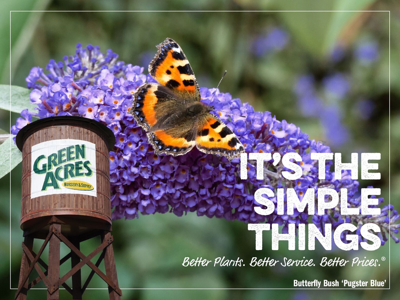 Catalog: It's the Simple Things -- Garden Inspiration for the Greater —  Green Acres Nursery & Supply