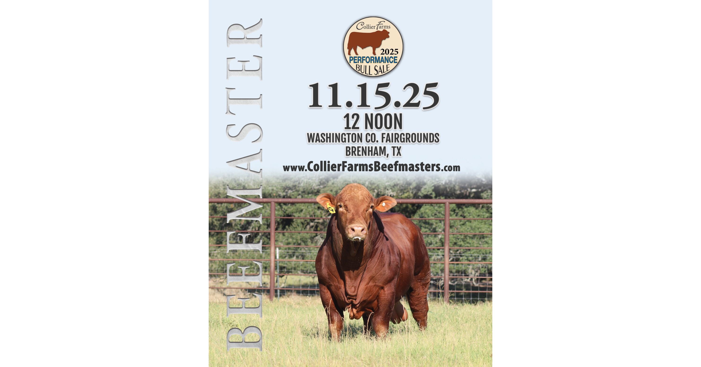Collier Bull Sale_2025 WEB HR