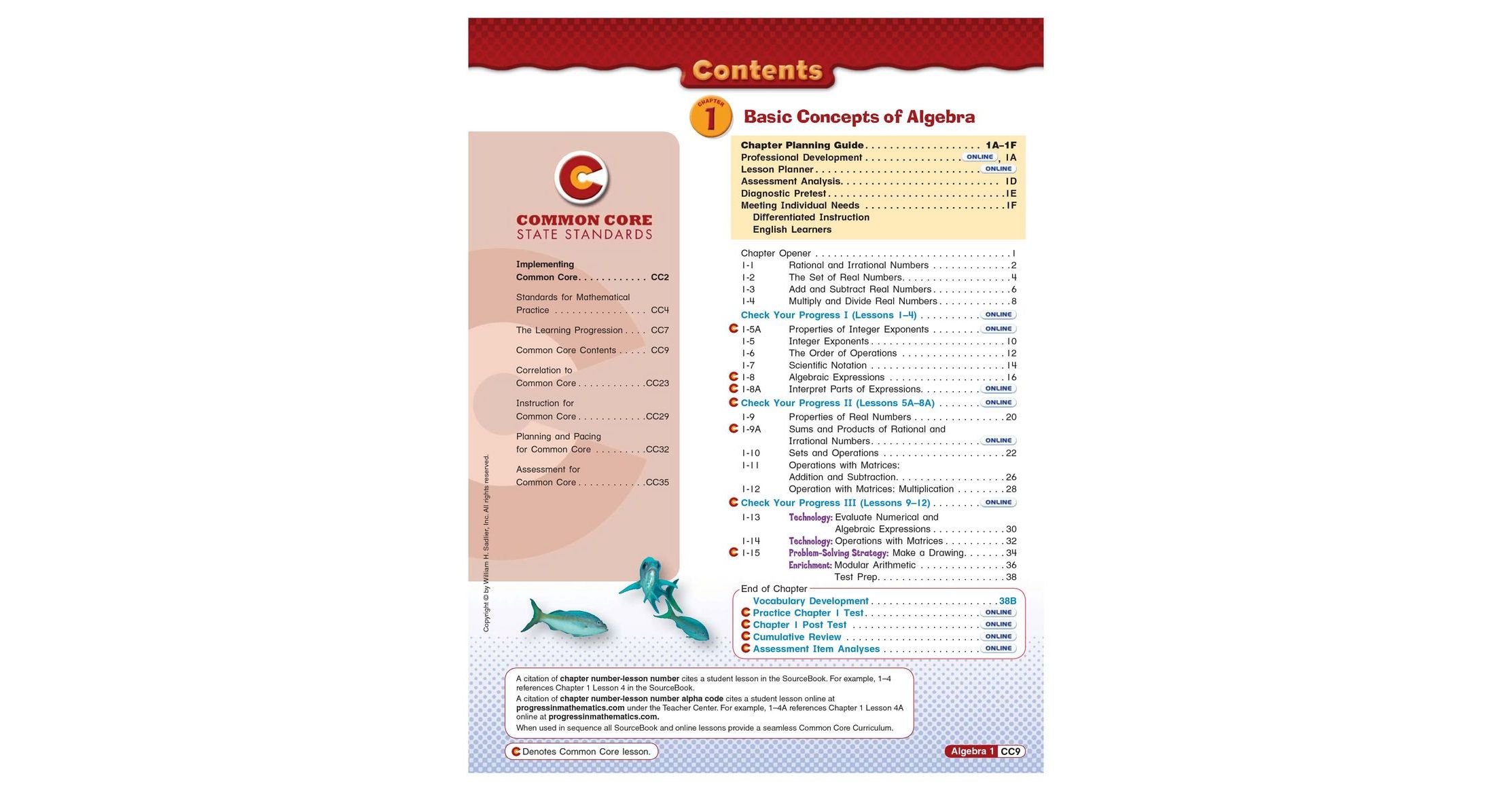 progress-in-mathematics-algebra-1-table-of-contents